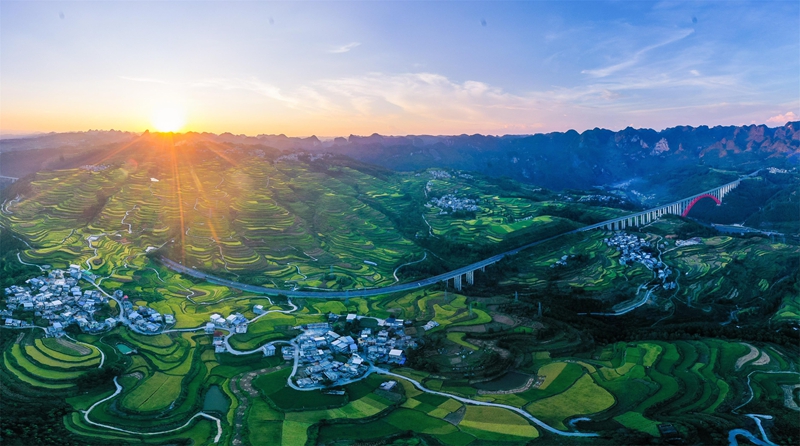 貴州省黔南布依族苗族自治州羅甸縣沫陽鎮羊場梯田水稻豐收一景。 