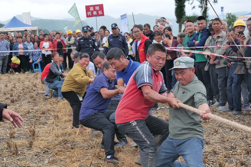 圖為：旱地拔河現場