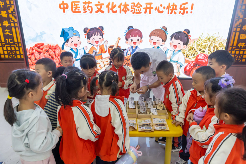 學生在施秉縣民族中醫院醫生的指導下學習認識中草藥。