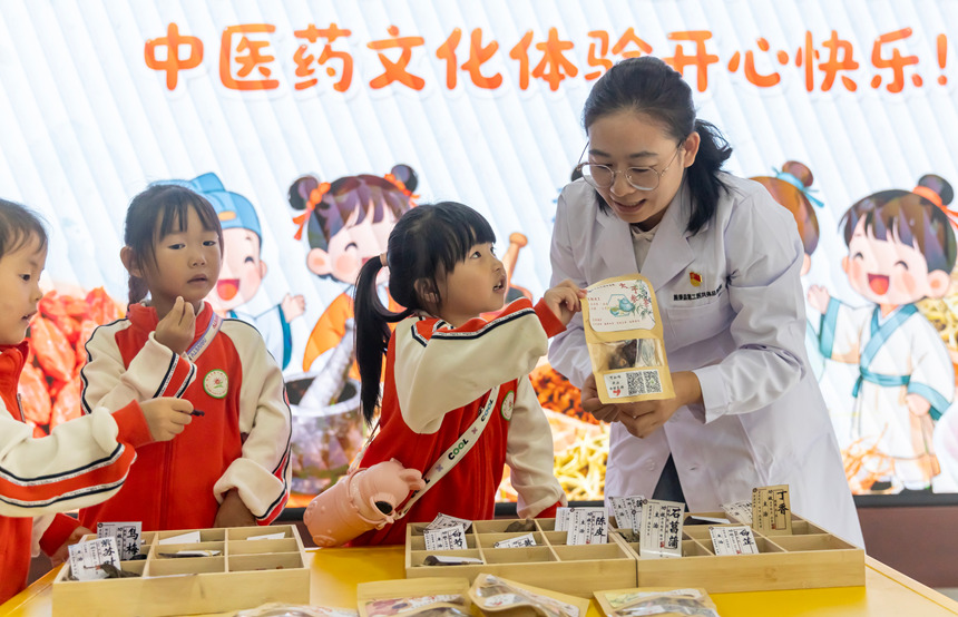 學生在施秉縣民族中醫院醫生的指導下學習認識中草藥。