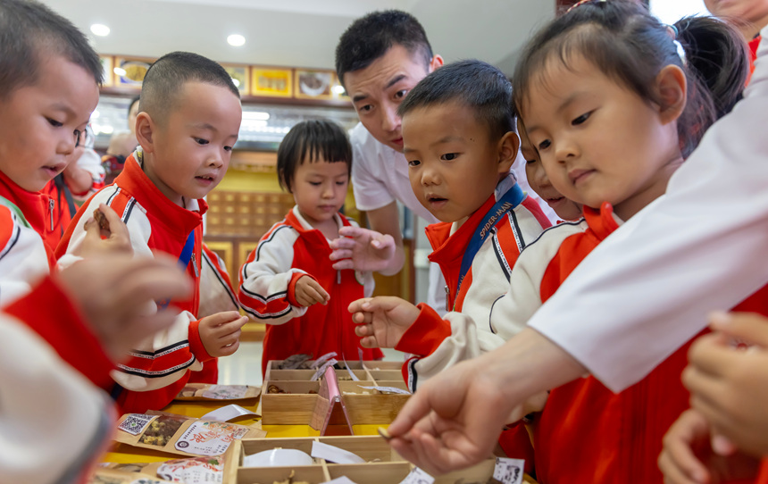 學生在施秉縣民族中醫院醫生的指導下學習認識中草藥。