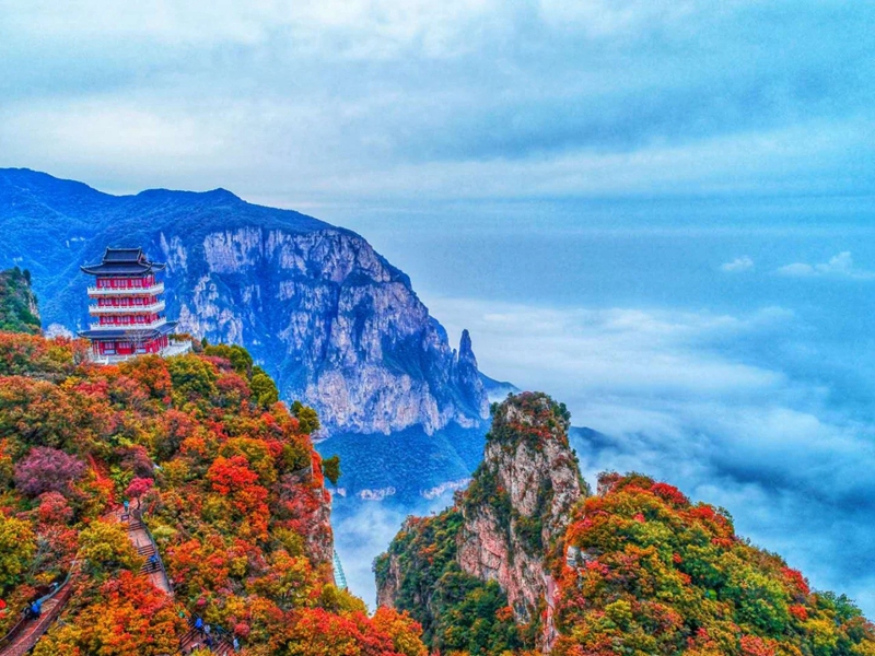 觀云海，賞紅葉，邂逅王維詩里的云臺山。段超攝