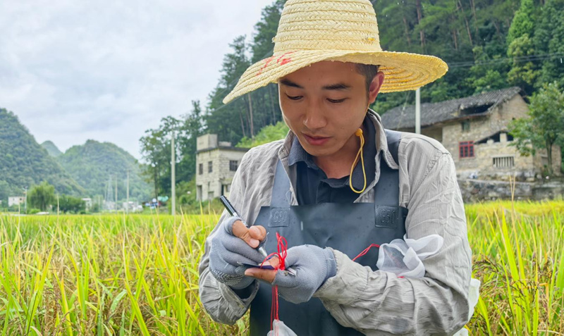 曾濤目光專注。