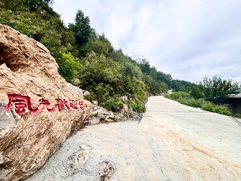 6、慶豐村風光組共同集資改擴建的1.7公里的“風光大道”。王燁 攝.jpg