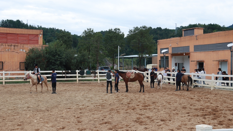 增加新的馬術訓練場。