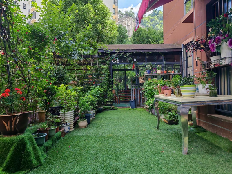 衛生家庭庭院。