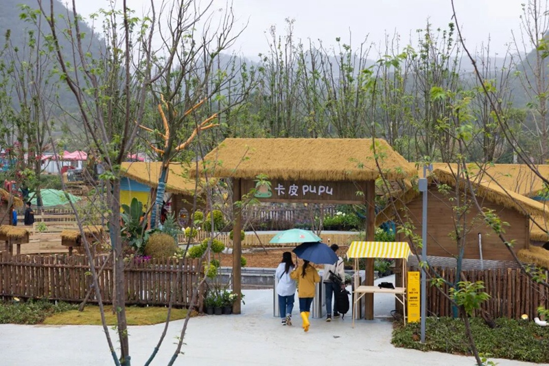 5、卡皮pupu萌寵館 。