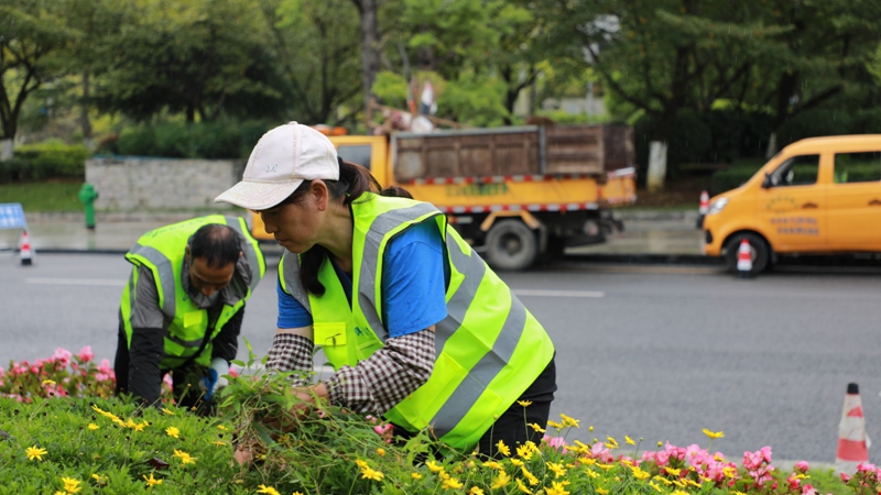 1、管護工人正忙著除草作業(yè)。