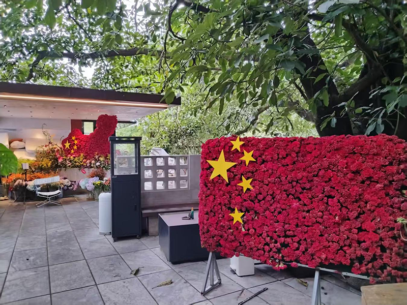 節(jié)日氛圍。