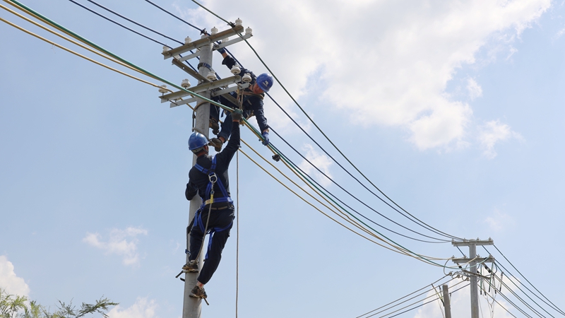 配電線路搶修現場。盧關文 攝.JPG
