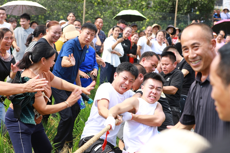 南明農民豐收節拔河活動現場。 吳麟欽 攝