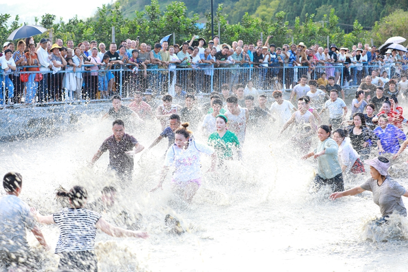 參賽選手正在激烈抓鴨子。 吳麟欽 攝