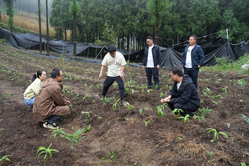 工作人員正在指導村民。