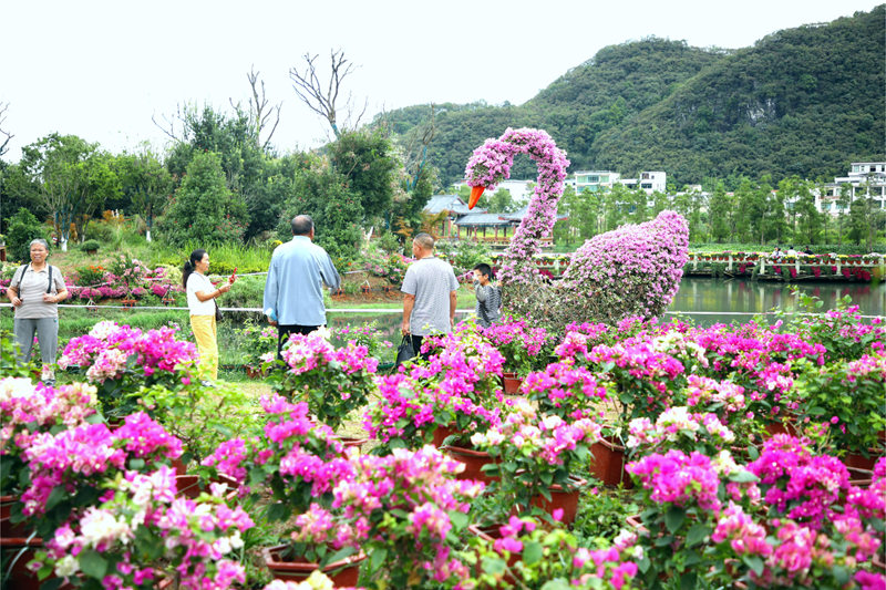 游客駐足觀賞拍照，沉浸在這美麗的景致中。