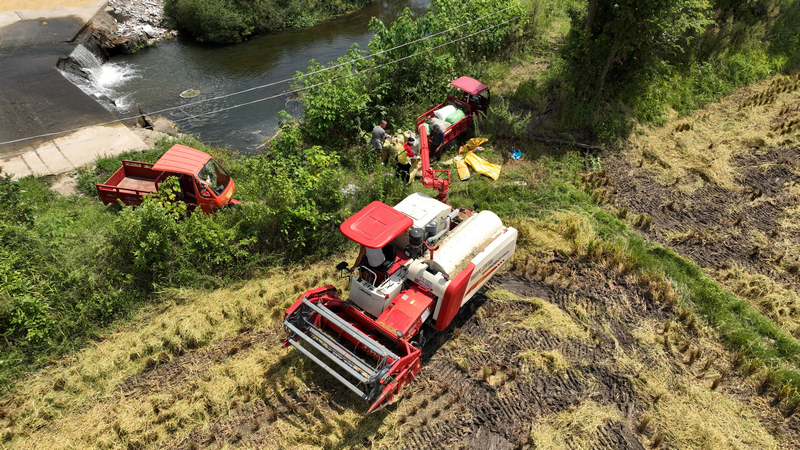 收割機(jī)正在卸糧。