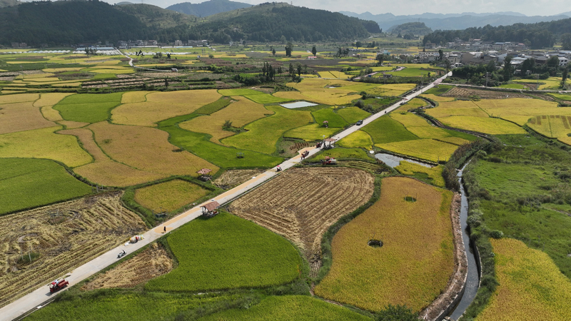 灣灘河鎮(zhèn)翠微村糧食壩區(qū)。