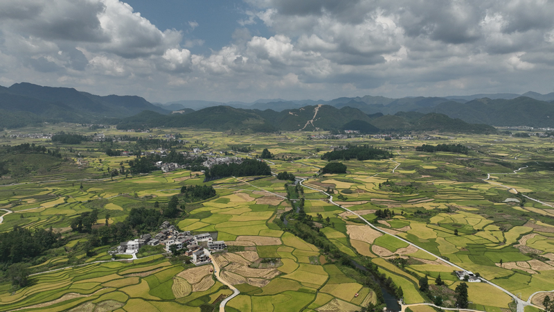 灣灘河鎮(zhèn)翠微村糧食壩區(qū)。