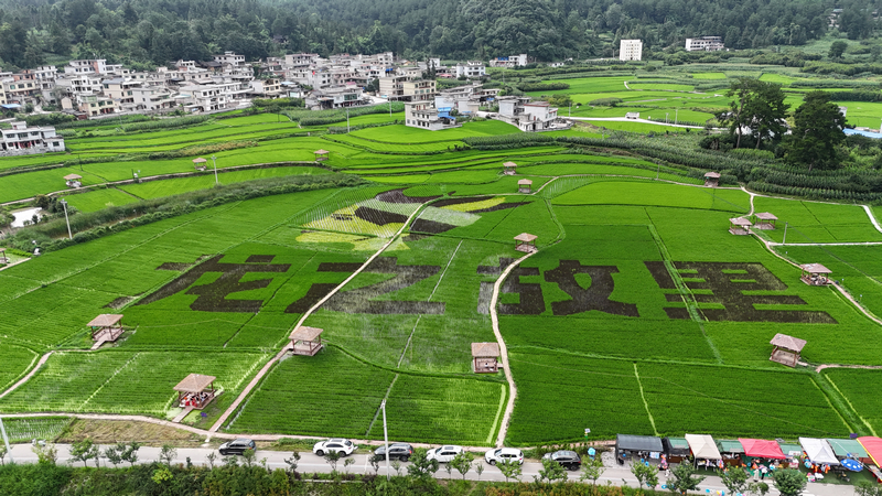 龍里縣龍山鎮余下村村景。