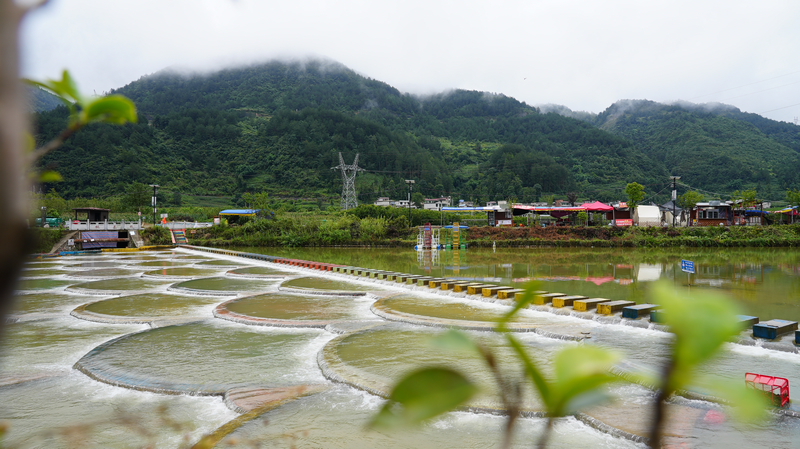 龍里縣龍山鎮余下村魚麟壩。