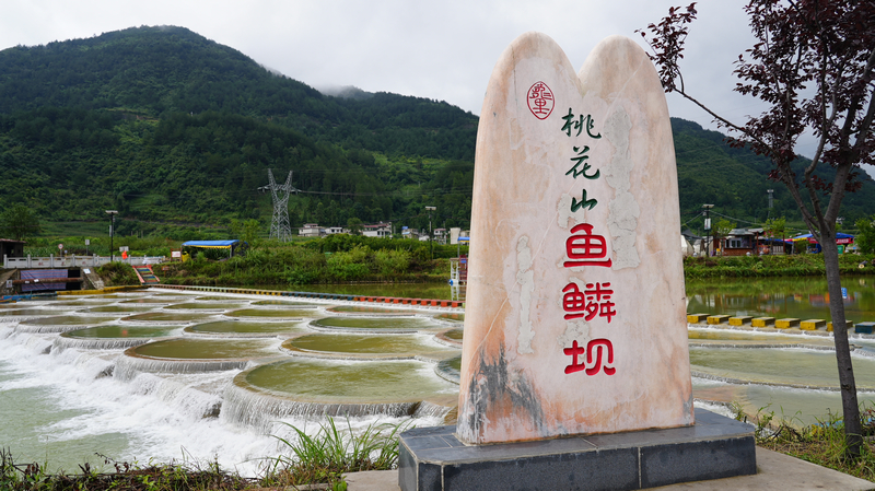 龍里縣龍山鎮余下村魚麟壩。