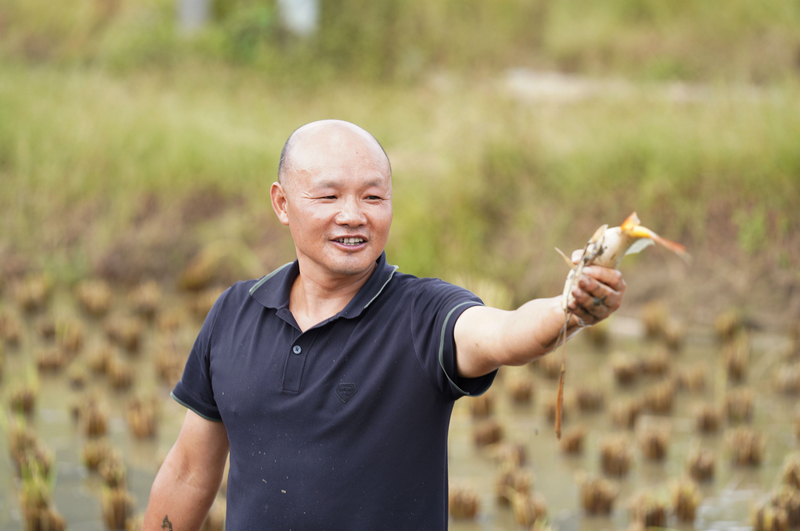 灣灘河村民正在捉魚。