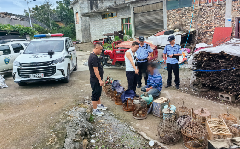 采取強制措施!注意,這些鳥類不可非法捕捉、買賣、運輸和飼養!