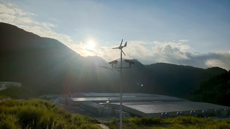 1、桐梓縣茅石鎮(zhèn)中關(guān)村日泉原種豬場(chǎng)。 圖片由采訪對(duì)象提供.jpg