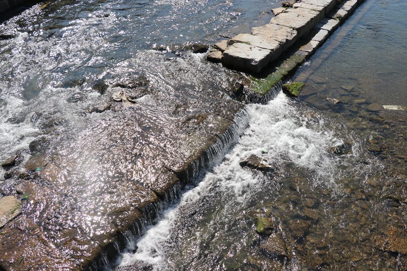 七星關(guān)區(qū)沔魚河新莊生態(tài)系統(tǒng)治理修復(fù)工程河段，清澈的河水潺潺流淌 馬諾楠 攝.JPG