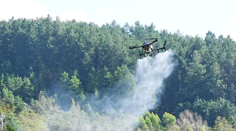 西秀區楊武鄉科技賦能小黃姜產業增產增收。