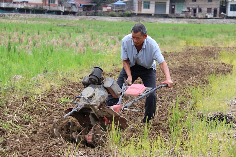 麻兔村農(nóng)戶正在用劃土機(jī)翻土.jpg