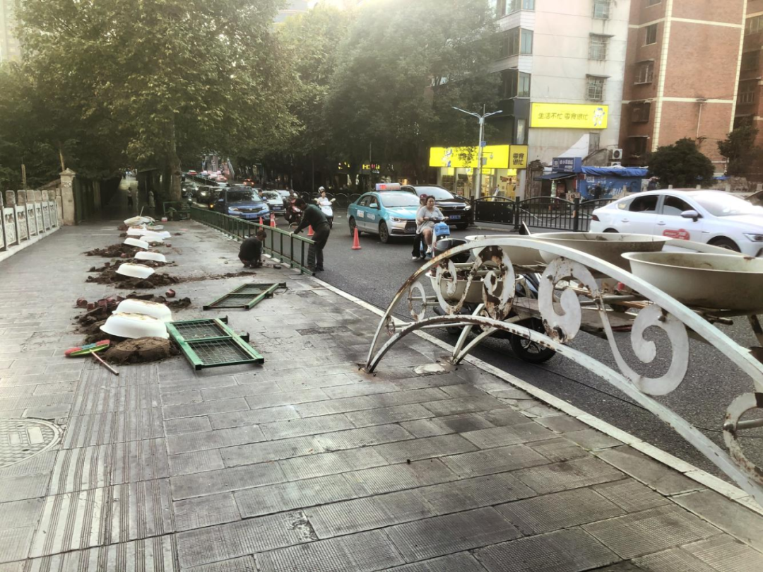 西秀區園林局開展花架拆除工作。