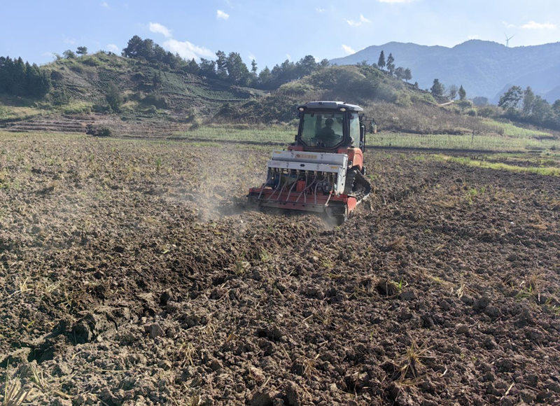 搶抓秋冬種農時機械化助力油菜高效種植。