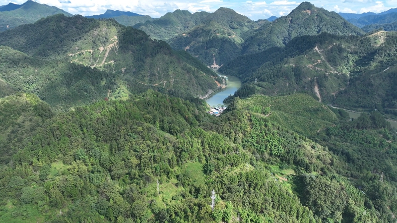 網絡科技賦能養殖業,大山深處駛上智慧快車。