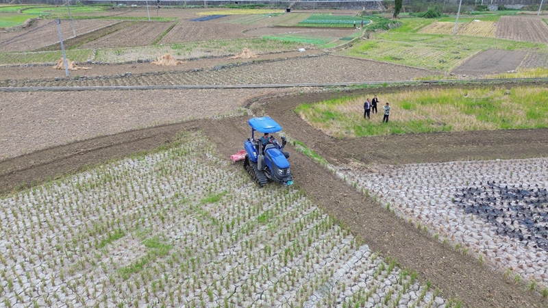 旋耕機(jī)正在翻耕土地。