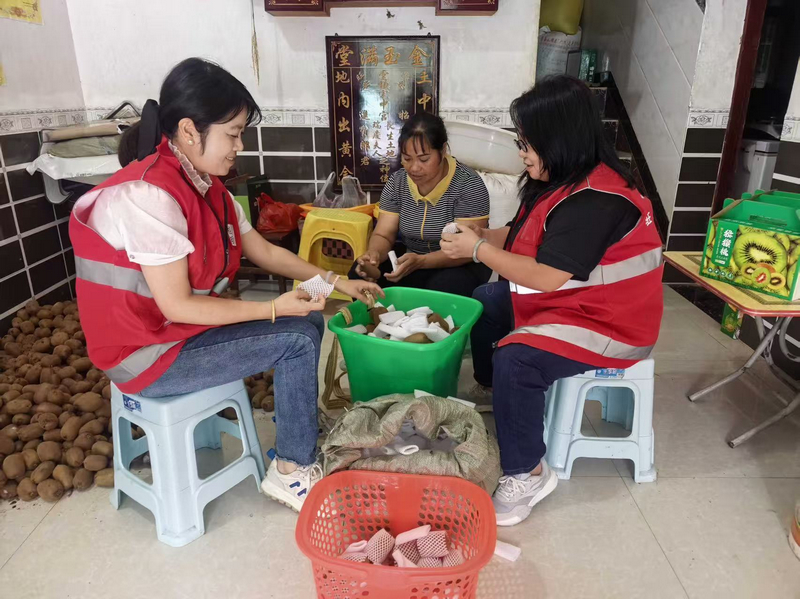 下巴地駐村工作隊(duì)員為群眾打包獼猴桃。