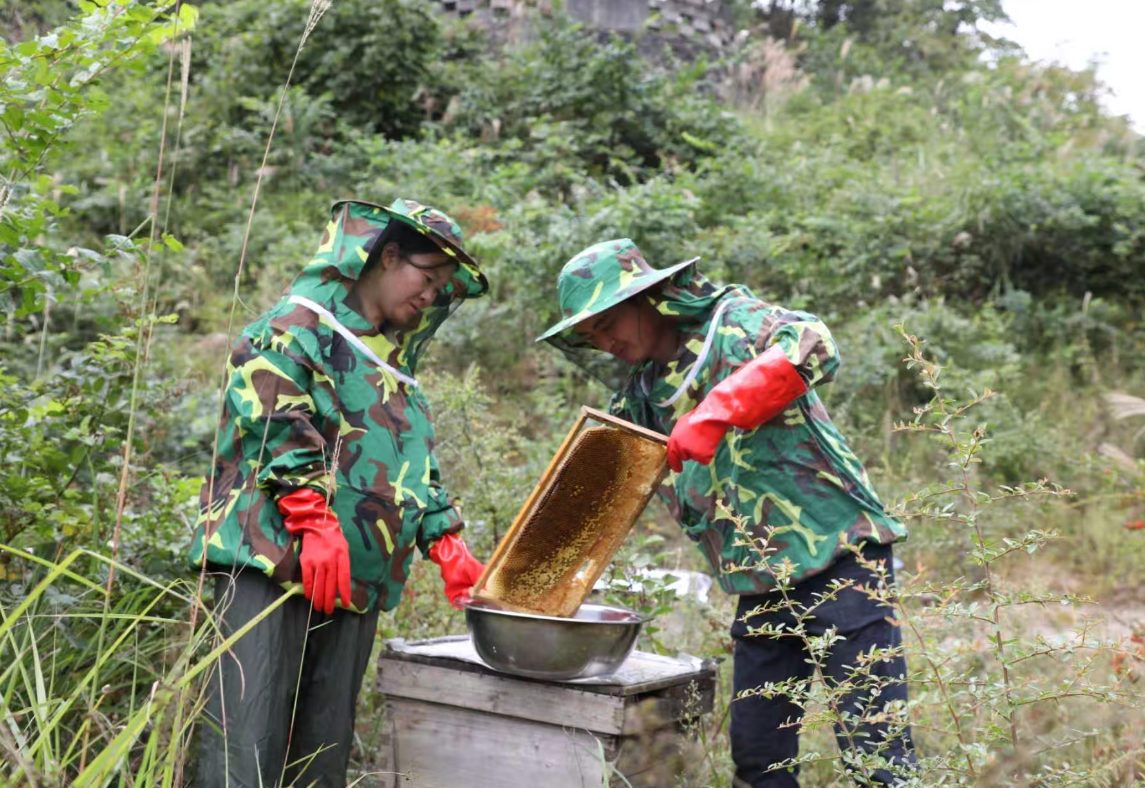 養(yǎng)蜂基地。