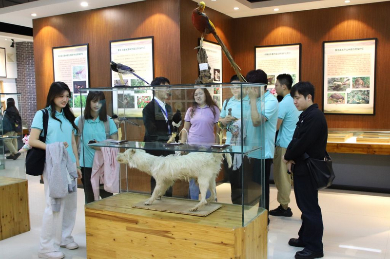 活動現(xiàn)場。