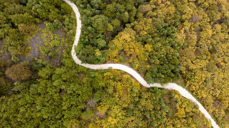 羅甸秋日一景。
