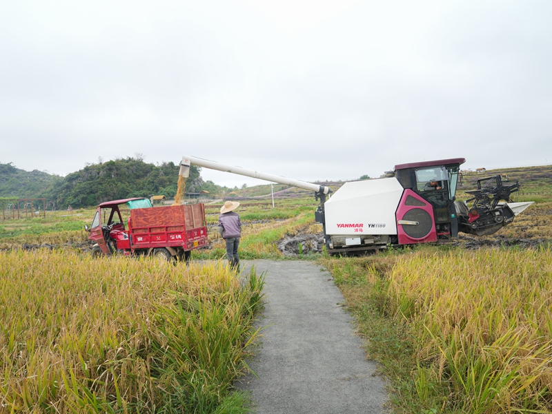 產銷兩旺干勁足。
