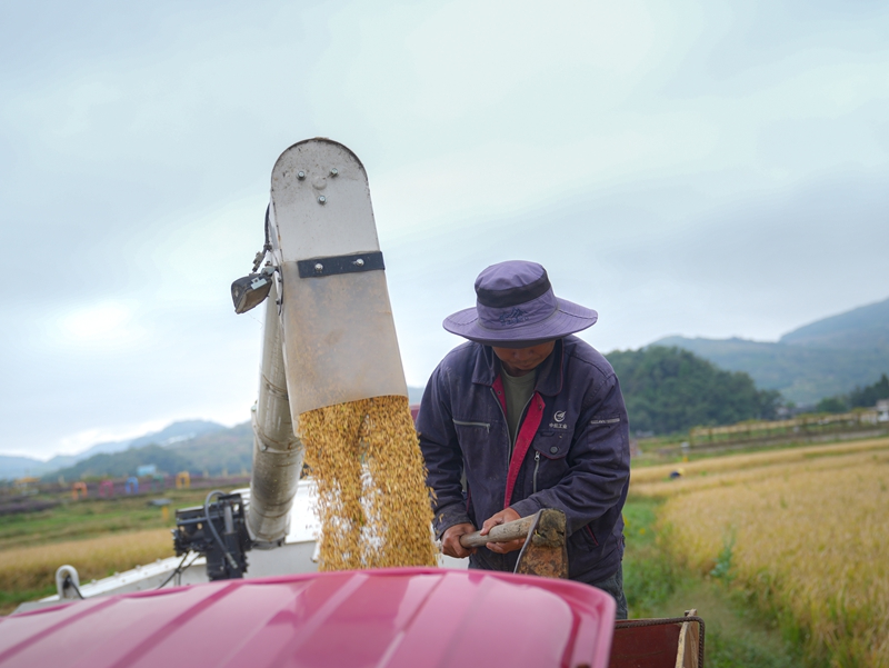 產銷兩旺干勁足。