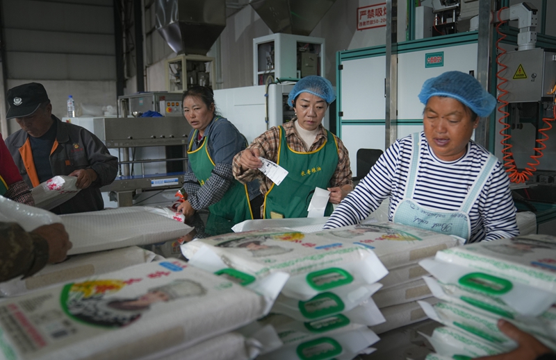 產銷兩旺干勁足。