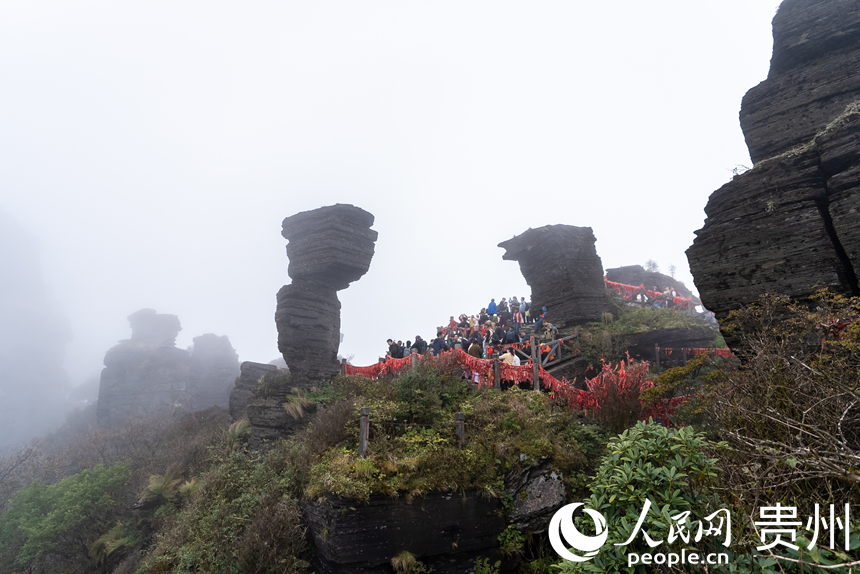 游客在梵凈山景區游覽。人民網記者 涂敏攝