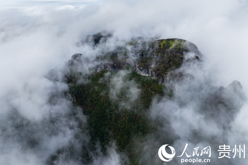 云霧彌漫的梵凈山巔。人民網記者 涂敏攝
