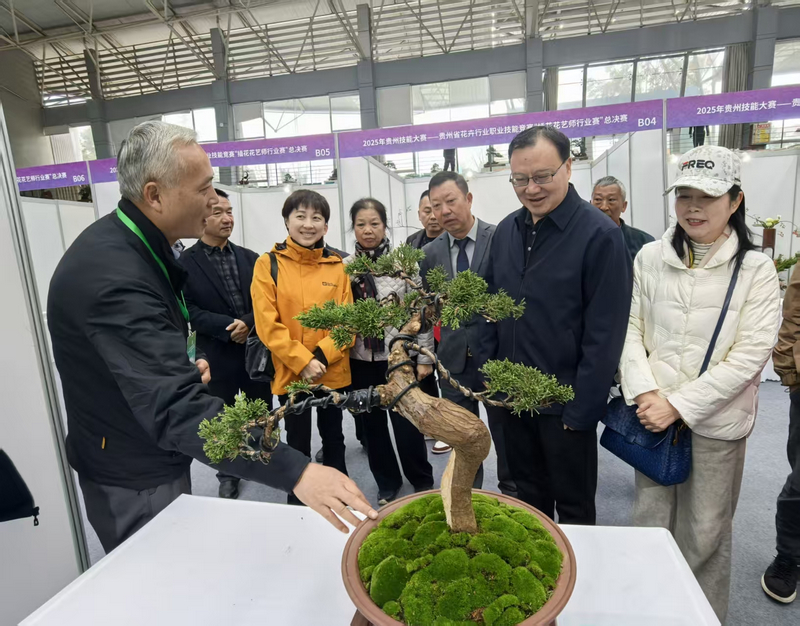 現(xiàn)場(chǎng)參觀。