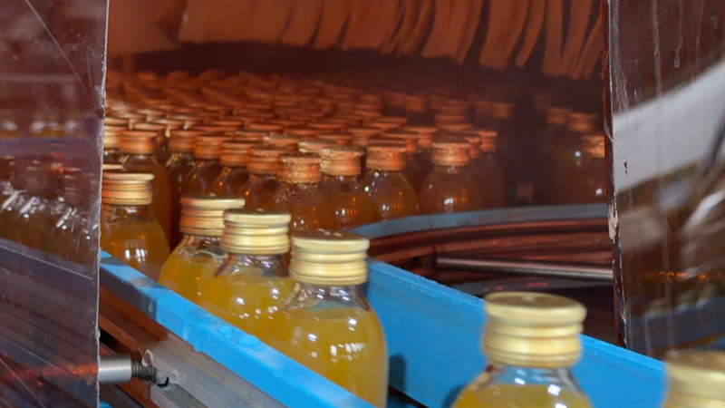 安順經(jīng)開區(qū)金刺梨進(jìn)入采收季。