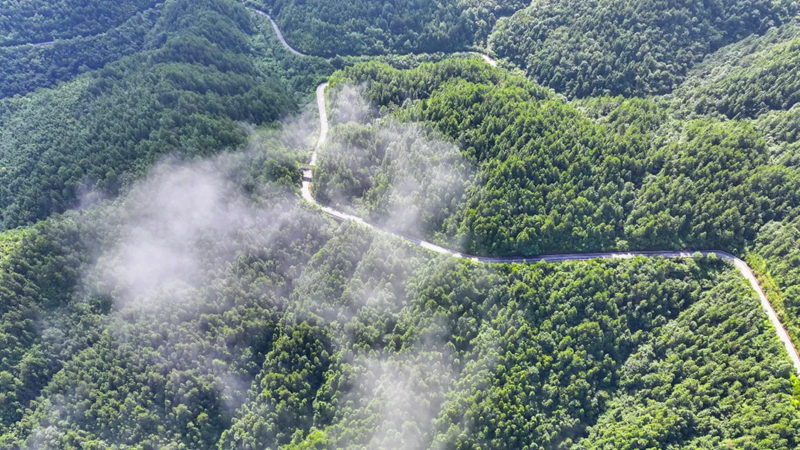 梵凈山加強文化遺產保護利用推進文旅融合發展。