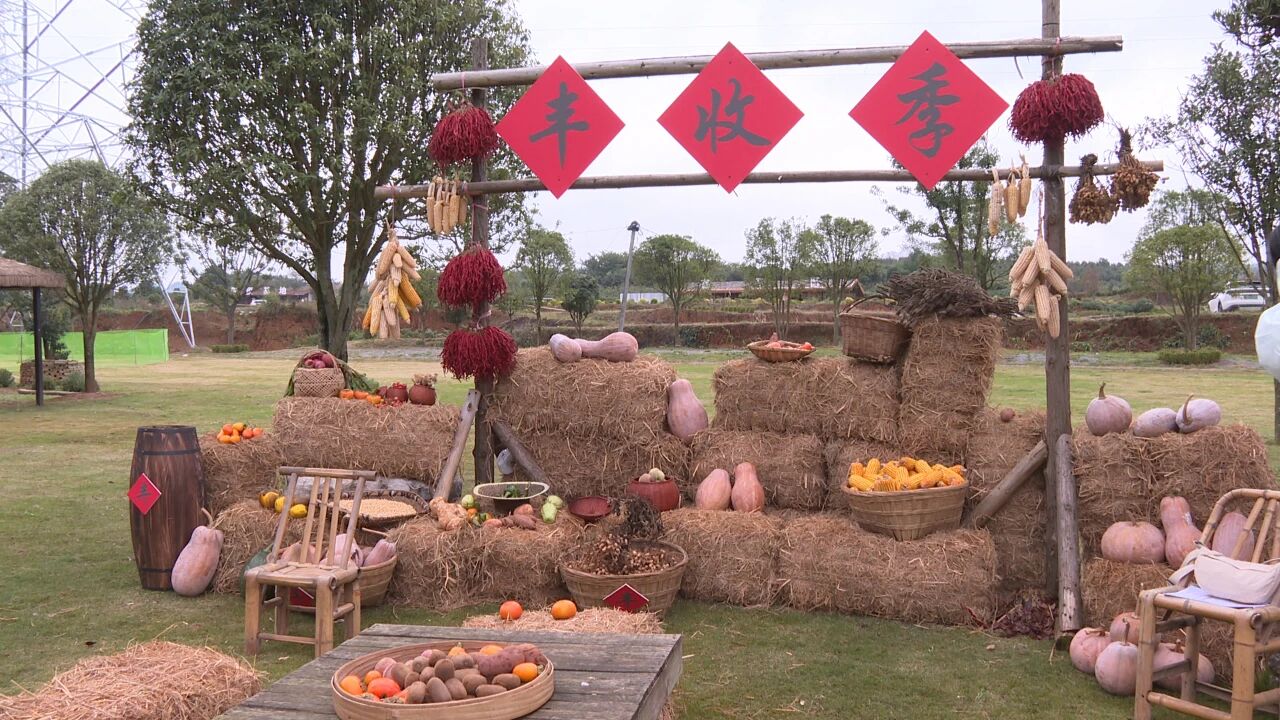 圖為活動(dòng)現(xiàn)場(chǎng)。