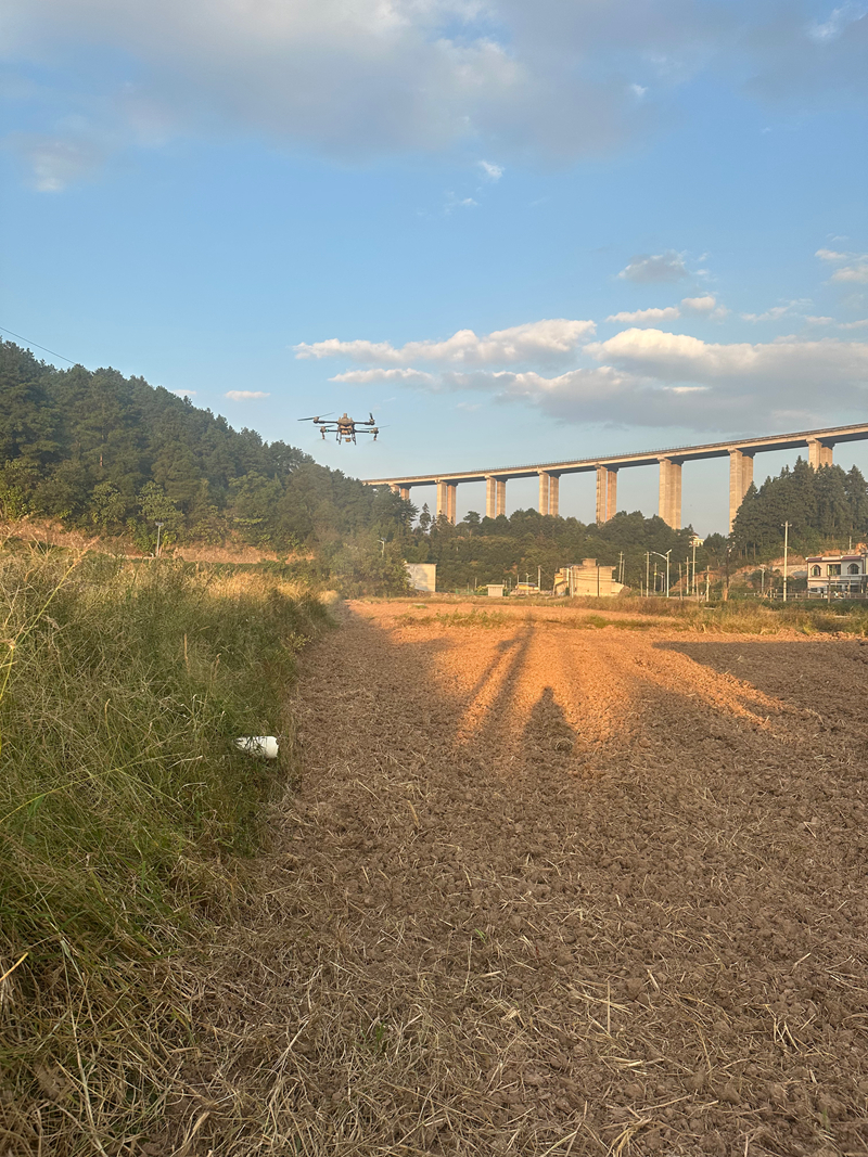 無人機正在進行肥料播撒。