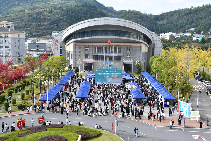 招聘會現(xiàn)場。