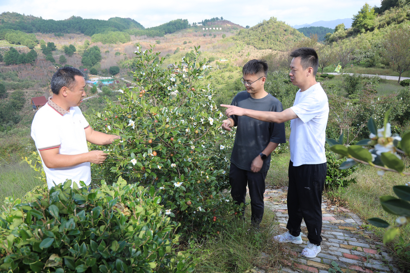 吳光榮（左）正在和科研人員探討油茶。